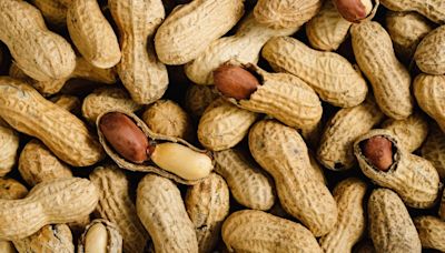 Australia launches peanut allergy immunotherapy program for babies in world first