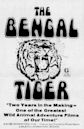 The Bengal Tiger