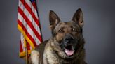 K-9 Gunner with Independence Police Department passes away