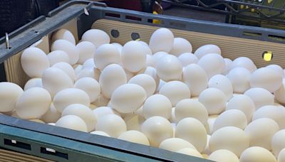 蛋價下跌近2年新低 鄉民哀號：加蛋還是20元