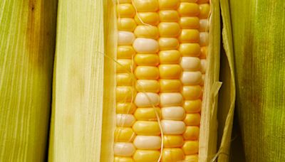 How Healthy Is Sweet Corn?