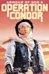 Armour of God II: Operation Condor