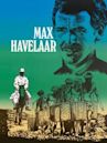 Max Havelaar (film)