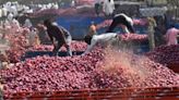 Why onion prices remain bullish despite steep export duty, MEP