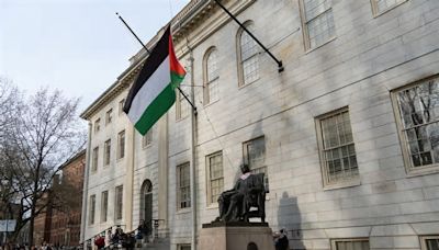 Encampment Protesters Raise 3 Palestinian Flags Over Harvard Yard