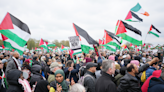 Pro-Palestinian protests: Man arrested for carrying swastika placard and another held for racist remarks at London march