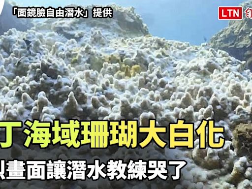 獨家》墾丁海域珊瑚大白化 慘烈畫面讓潛水教練哭了（「面鏡臉自由潛水」提供） - 自由電子報影音頻道