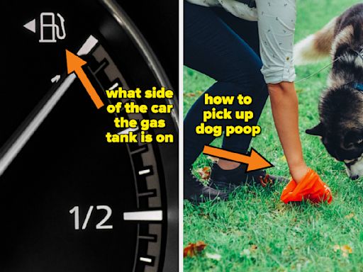 20 Times Adults Finally Learned Basic Facts