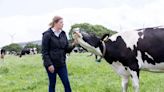 Why selective dry cow therapy has been worth the initial anxiety