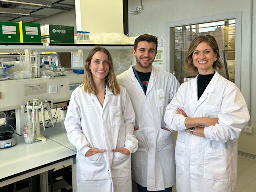 Primer tratamiento creado en España que usa virus frente a bacterias multirresistentes