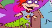 2. Chuckerfly; Angelica's Twin