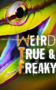 Weird, True & Freaky