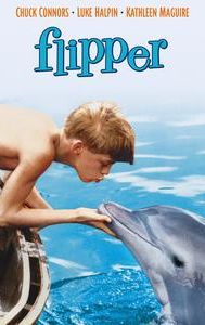 Flipper (1963 film)