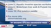 Events set for NY Invasive Species Awareness Week