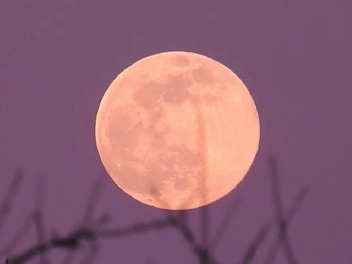 Look up tonight for the Full Pink Moon