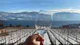 B.C. allows wineries to import grapes after 'unprecedented' winter