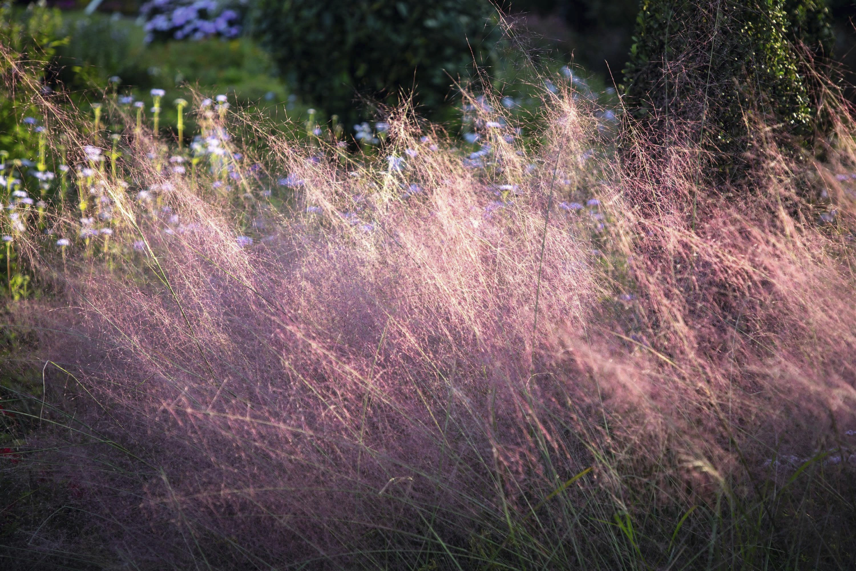 Flowers aren't the only way to add color to a garden. How to paint with foliage