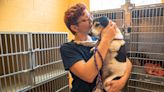 From the Home Front: New, bigger Clarksville animal shelter matches progressive urban growth