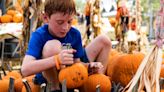 Top 5 things to do this weekend in Naples: Pumpkin patch, play, Grateful Dead tribute