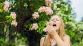 Hay fever tips and tricks as pollen count rises