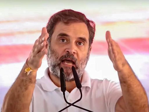 Haryana polls: Rahul flays BJP's 'pro-industrialist' policies, says Adani profits while common man struggles