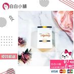 💕💕白白小舖💕💕艾捷力Agility-非變性二型膠原蛋白(30錠/盒)