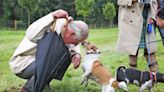 Rescue Pups Beth and Bluebell Will Be the Newest Royal Dogs To Live in Buckingham Palace