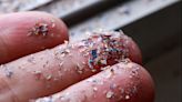 Microplastics found in human penises for first time