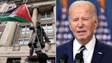 Biden admin ripped by experts as antisemitism gets 'worse' over past 6 months: 'Should have seen it coming'