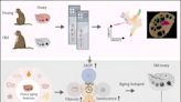 Aging hallmarks of the primate ovary revealed by spatiotemporal transcriptomics