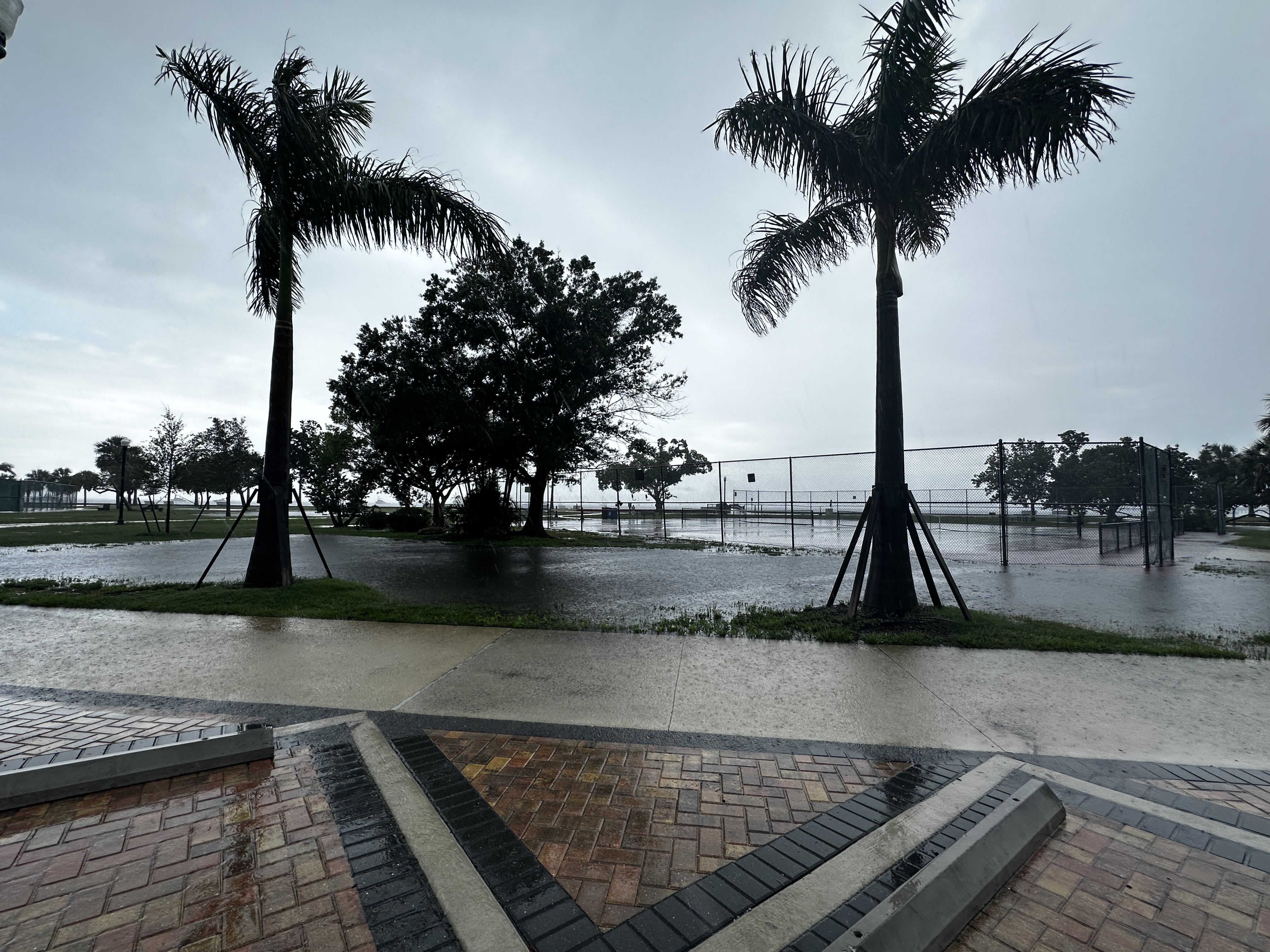 Punta Gorda home floods due to Tropical Storm Debby