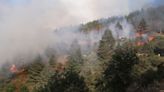 Controlado pero no extinguido el incendio de Canales de la Sierra que ha quemado 9 hectáreas