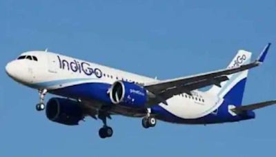 IndiGo System Outage: Flight Delays Affect Passengers Nationwide, Long Queues At Airports