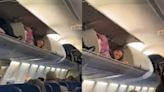 WATCH Viral Video: Passenger Caught Napping In Southwest Airlines' Overhead Compartment