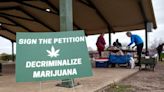 Obtiene victorias judiciales despenalización de la mariguana