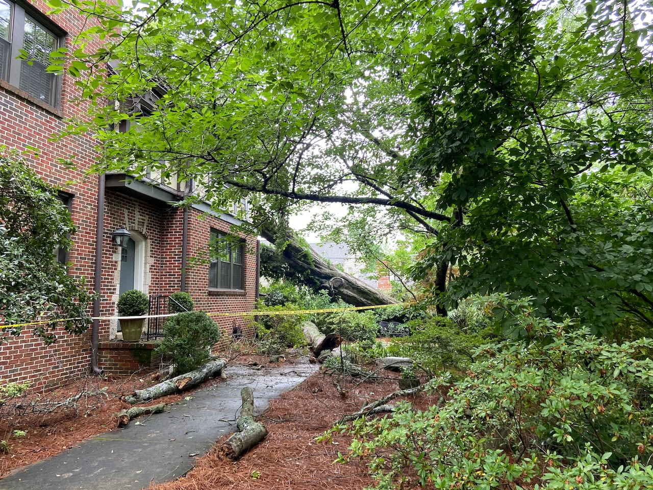 Mother of late Alabama BBQ pitmaster killed when tree hits Mountain Brook apartment during storm