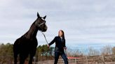 These two caisson horses from Arlington now keep rolling along in retirement on NC farm