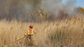 Sagunt acusa a la Generalitat de falta de sensibilidad frente a los incendios forestales