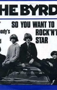 So You Want to Be a Rock 'n' Roll Star