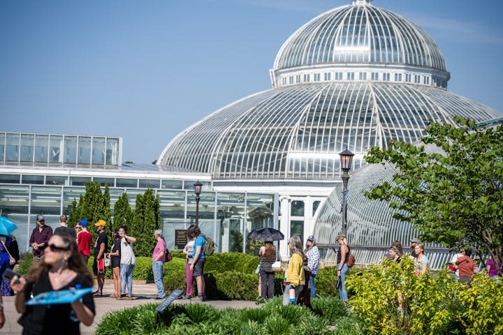 Does Como Conservatory's blooming corpse flower really smell like a corpse? The experts weigh in.