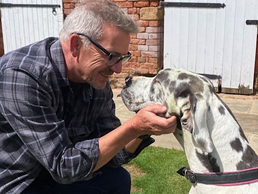 Dog rescued from 20ft well after 'Scooby-Doo' howl