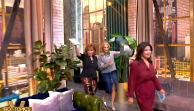 'Service dog' cohost helps Joy Behar get to “The View” table in too-high heels: 'I can’t walk in these'