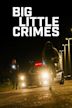 Big Little Crimes