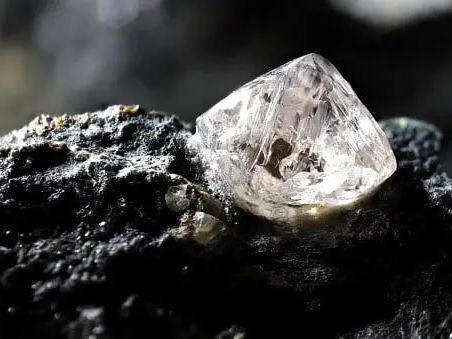 From Pauper To Prince: MP's Tribal Brothers Unearth Life-Changing 19.2 Carat Diamond From Panna Mine