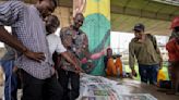 Election results only announced for 1 of Nigeria's 36 states