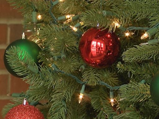 Inyo National Forest proposing new Christmas Tree permit program