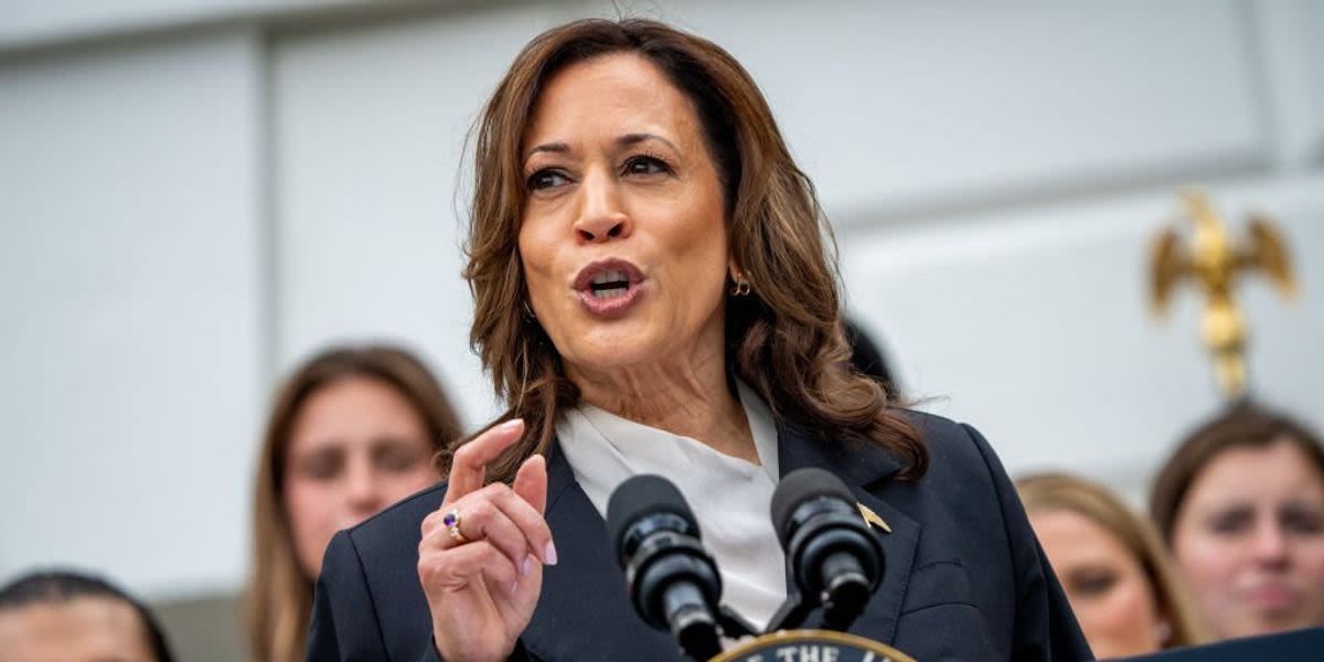 Watch: 'Hell, she's impressive': Harris praised for dynamic Wisconsin speech