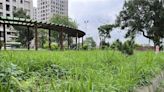 桃建商建公園管委會卻不接手 「黑牌公園」沒人管影響觀感 - 生活