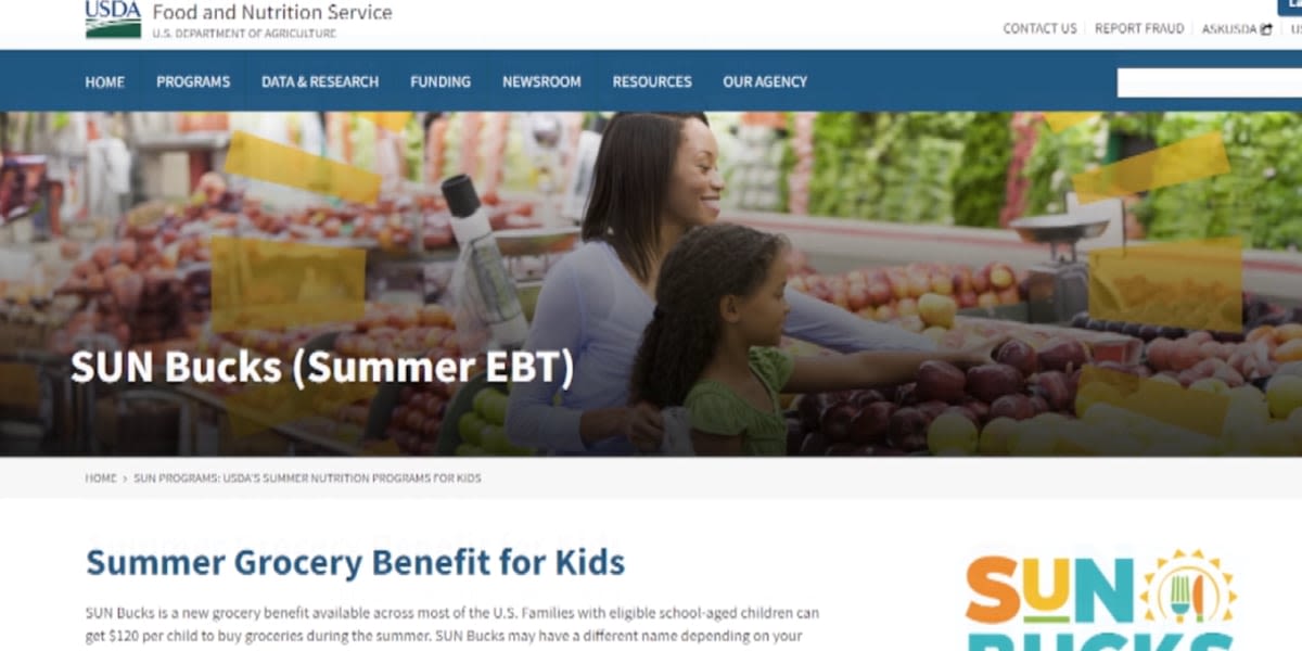 Georgia parents urge Kemp to reconsider approving federal summer lunch program as deadline looms