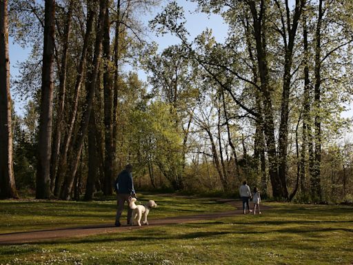 The best dog park in the country might be in Oregon; you can vote now